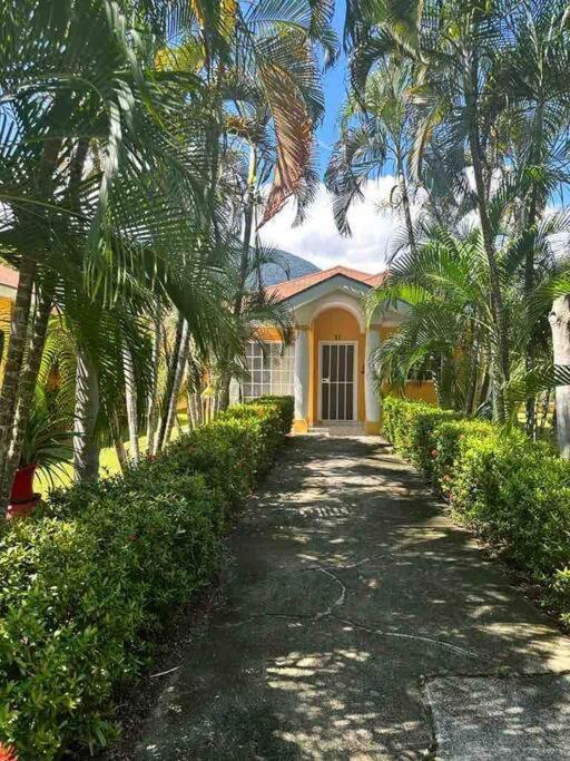 Villa De Ali In Palma Real La Ceiba Eksteriør billede